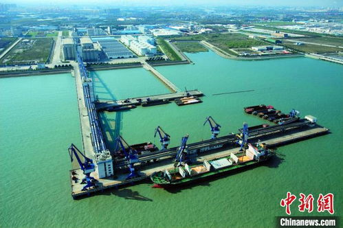 上海邊檢開辟查驗綠色通道，助力入境糧油民生物資高效中轉倉儲