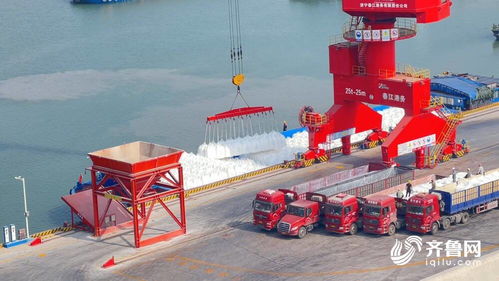 借力運河優勢，齊魯糧油媒體行聚焦江北現代糧食物流園——打造“北糧南運”高效大通道